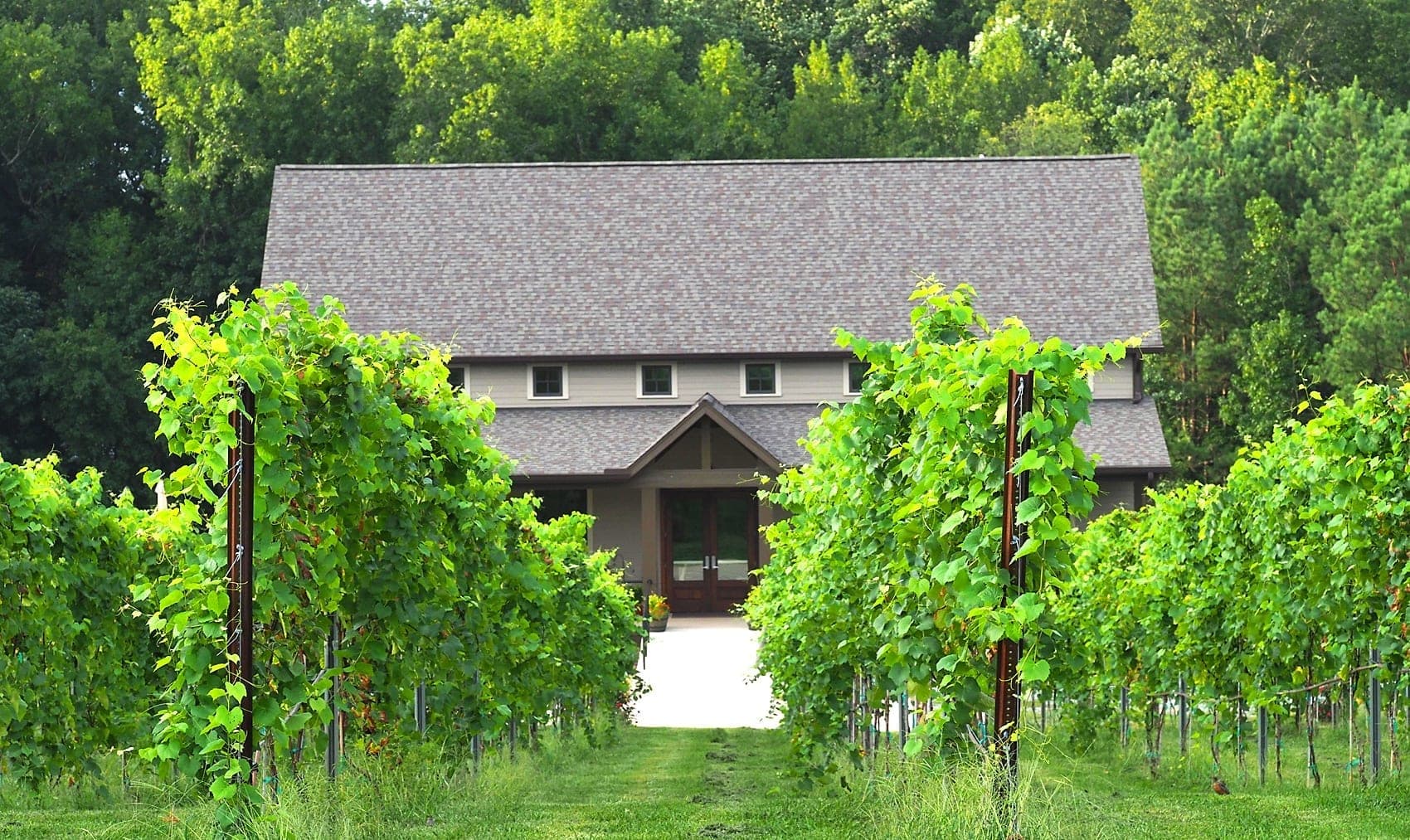 FireClay Cellars winery viewed through the vineyard